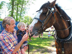 Door County vacation wagon rides