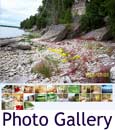 Lake Michigan rental cottage slideshow